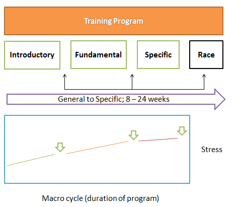 components of periodization training